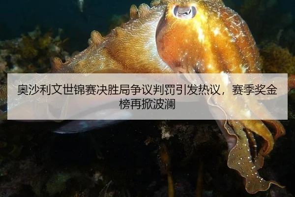 奥沙利文世锦赛决胜局争议判罚引发热议，赛季奖金榜再掀波澜
