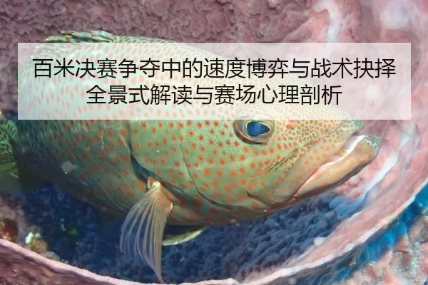 百米决赛争夺中的速度博弈与战术抉择全景式解读与赛场心理剖析